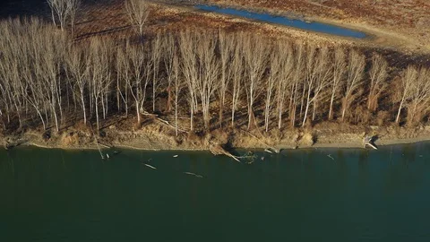 Flying over winter forest and big river shore during wintertime. Stock Footage 124224061