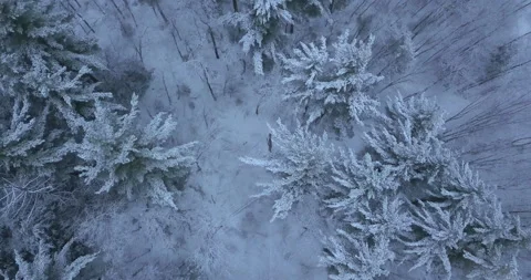 Flying over a winter forest and snow covered road. Stock Footage 130361303
