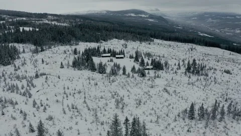Flying over the winter forest and some old cabins in the wild 库存影片 144524732