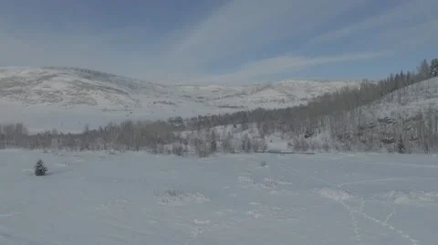Flying over the winter forest on a background of mountains 動画素材 62909181