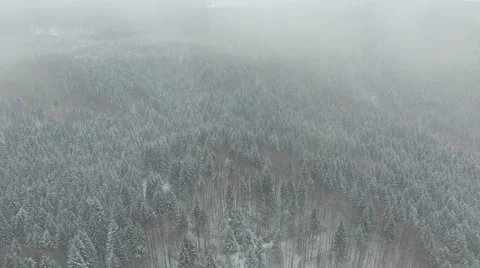 Flying over a winter forest in the fog Stock Footage 59123352