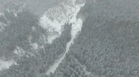 Flying over a winter forest Stock Footage 59123406
