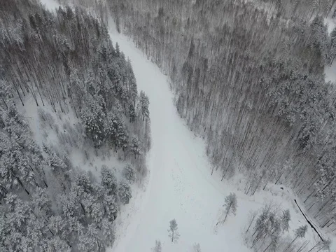 Flying over a winter forest Stock Footage 72624302