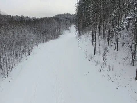 Flying over a winter forest Stock Footage 72624312