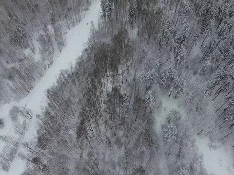 Flying over a winter forest Stock Footage 72624392