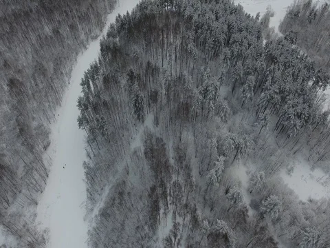 Flying over a winter forest Stock Footage 72624405
