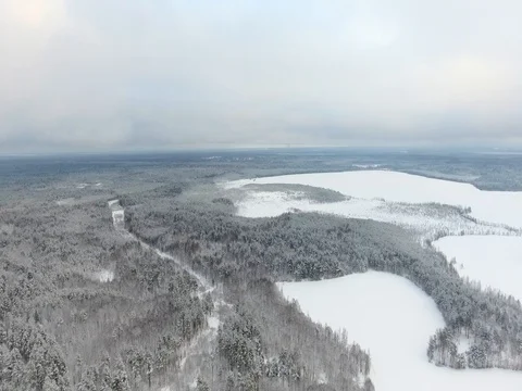 Flying over a winter forest Stock Footage 72624410