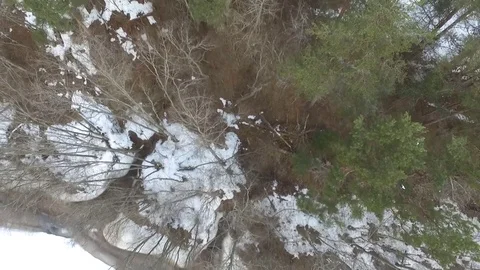Flying over the winter forest Stock-Footage 80081294
