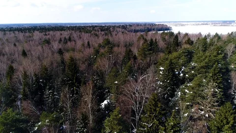 Flying over the winter forest Stock Footage 88381582