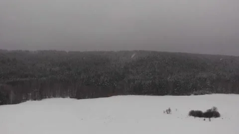 Flying over the winter forest Stock Footage 100601359