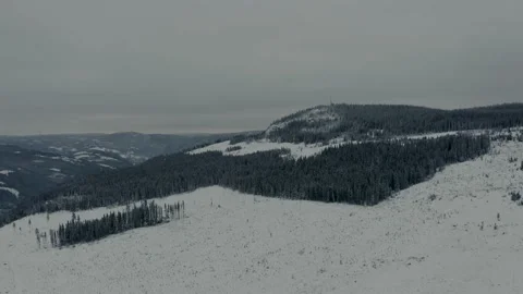 Flying over the winter forest 库存影片 144524234