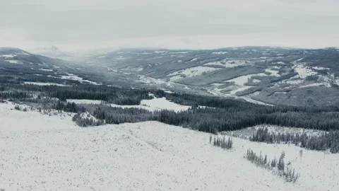 Flying over the winter forest 库存影片 144524399