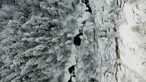 Flying over the winter forest 库存影片 144524417