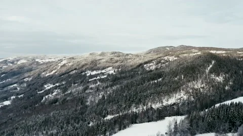 Flying over the winter forest 库存影片 144524513