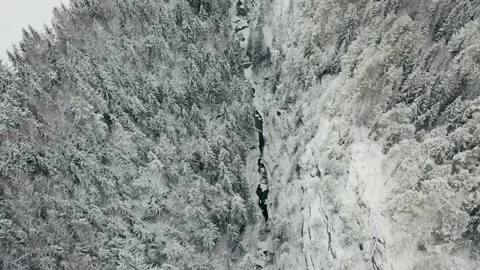 Flying over the winter forest 库存影片 144524740