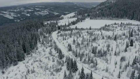 Flying over the winter forest 库存影片 144524830