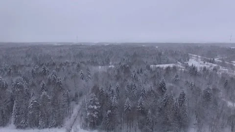 Flying over the winter forest Stock Footage 145429303