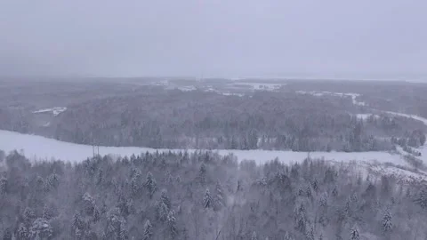 Flying over the winter forest Stock Footage 145429314