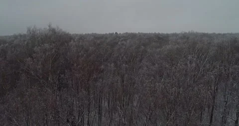 Flying over the winter forest Stock Footage 147191039
