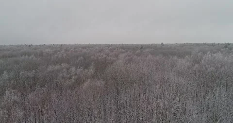Flying over the winter forest Stock Footage 147196561