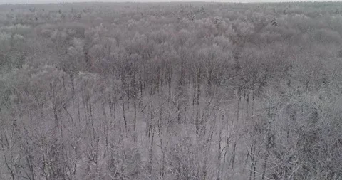 Flying over the winter forest Stock Footage 147196882