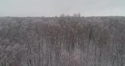 Flying over the winter forest Stock Footage 147198059
