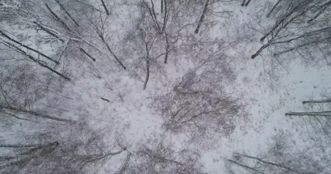 Flying over the winter forest Stock Footage 147251133