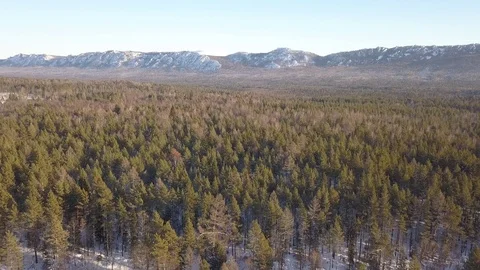Flying over winter forest to the mountain ridge Video stock 84178420