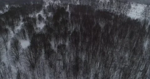 Flying over the winter forest with snowfall Stock Footage 147694176