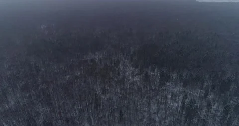 Flying over the winter forest with snowfall Stock Footage 147694198