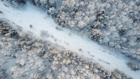 Flying over winter forest trees sunny weather top view 4k. Aerial flight above Video stock 100990060