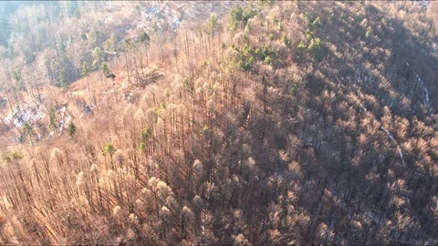 Flying over a winter landscape Stock Footage 101486797