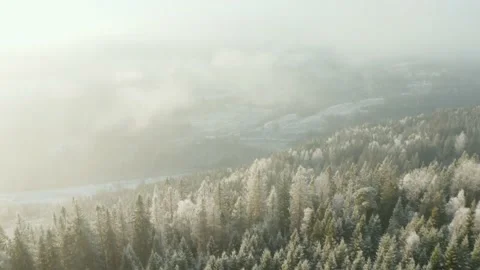 Flying over the winter landscape. 库存影片 144526031