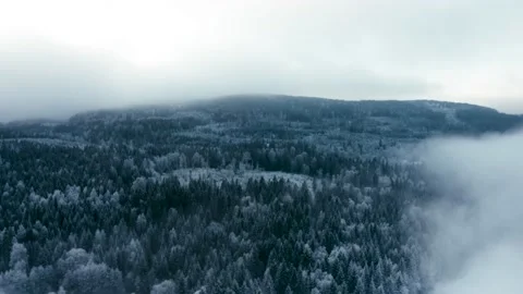 Flying over the winter landscape. 库存影片 144526767