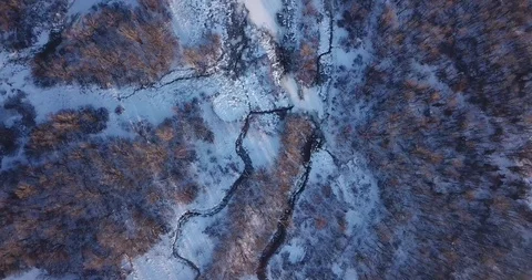 Flying over a winter park near the city on the Dnieper River Stock Footage 101463483