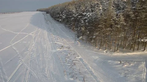 Flying over the winter pine forest in the snow Stock Footage 101631909