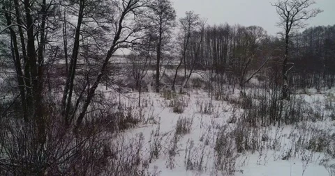 Flying over a winter spruce forest with active snowfall Stock Footage 147678293