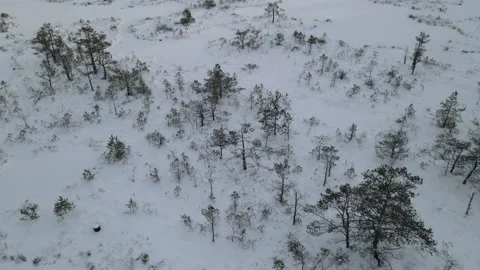 Flying over a winter swamp Stock Footage 167467176