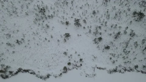 Flying over a winter swamp Stock Footage 167467853