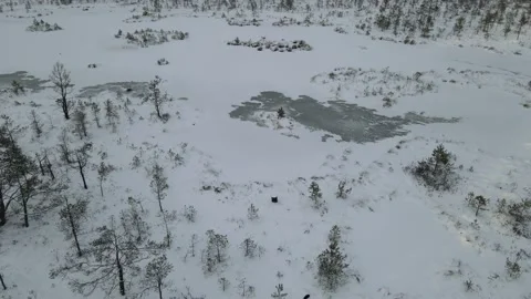 Flying over a winter swamp Stock Footage 167467964