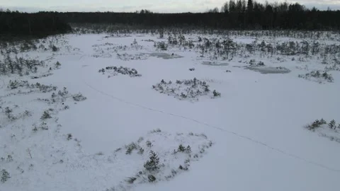 Flying over a winter swamp Stock Footage 167468436