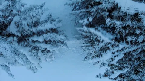 Flying over winter trees. snow landscape. mountains nature. sunset. aerial view Stock-Footage 34556462