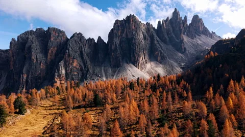 Flying over a withered forest among the mountains Stock Footage 297308926