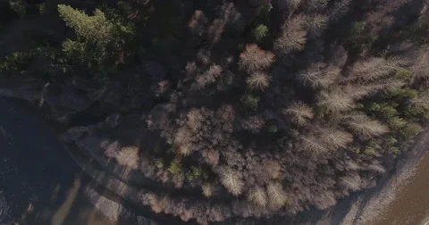 Flying Over Wooded River Looking Down Stock Footage