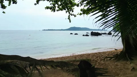 Flying over a wooden table nestled among trees on Inhame Beach. The turquoise Stock Footage 332908859
