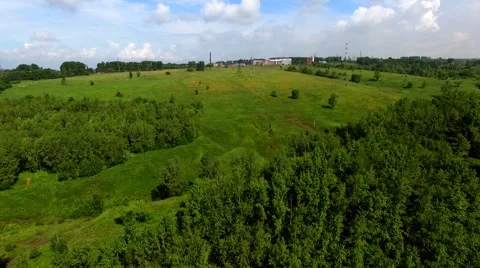 Flying over the woods and emerald field Stock-Footage 67875925