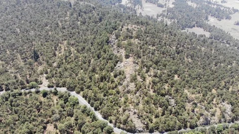 Flying over woods Stockbeeldmateriaal 92693895