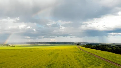 Flying over the yellow fields with a view of the rainbow. Video stock 113204555