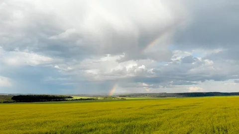 Flying over the yellow fields with a view of the rainbow. Stock Footage 113204787