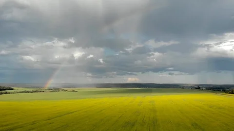 Flying over the yellow fields with a view of the rainbow. Video stock 113212651